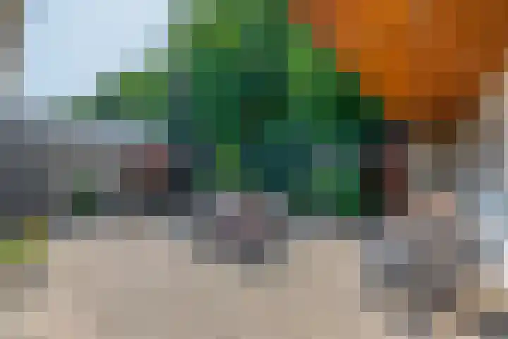 Poelwaai 21 Lisse thumbnail 22