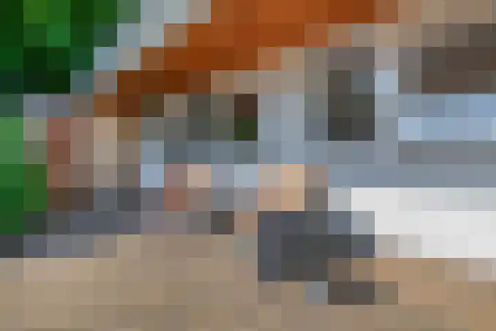 Poelwaai 21 Lisse thumbnail 24