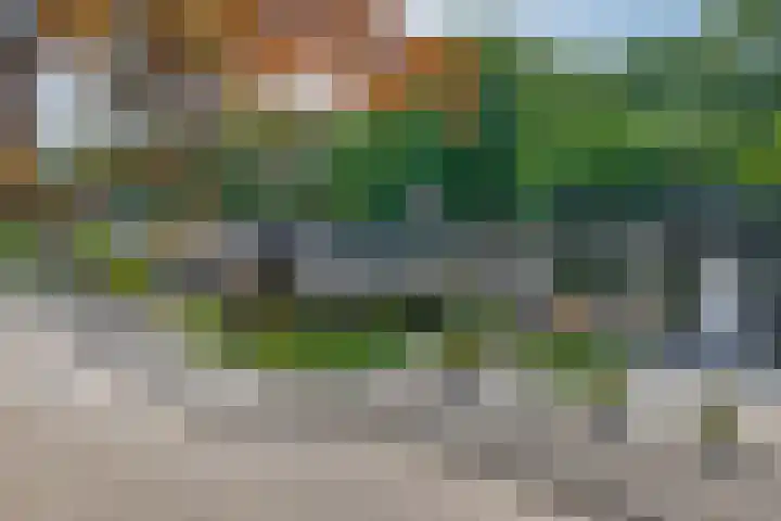 Poelwaai 21 Lisse thumbnail 25