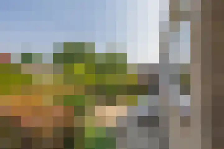 Poelwaai 21 Lisse thumbnail 26
