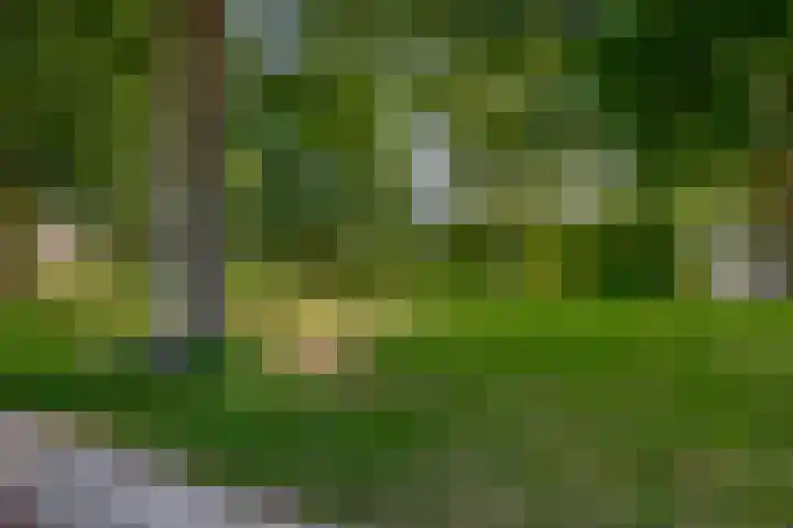 Poelwaai 21 Lisse thumbnail 27