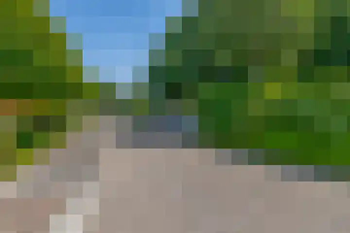 Poelwaai 21 Lisse thumbnail 28
