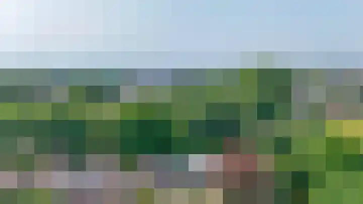 Poelwaai 21 Lisse thumbnail 29