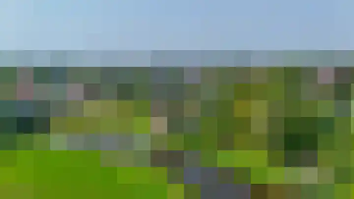 Poelwaai 21 Lisse thumbnail 30