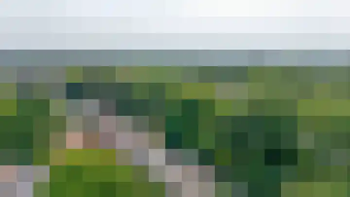 Poelwaai 21 Lisse thumbnail 31