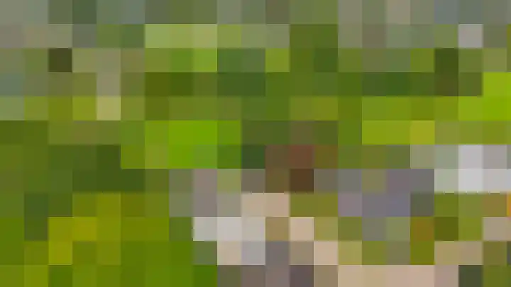 Poelwaai 21 Lisse thumbnail 32