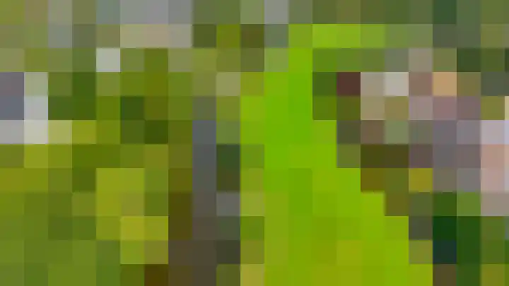 Poelwaai 21 Lisse thumbnail 33