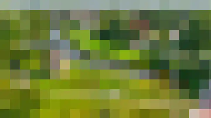 Poelwaai 21 Lisse thumbnail 34