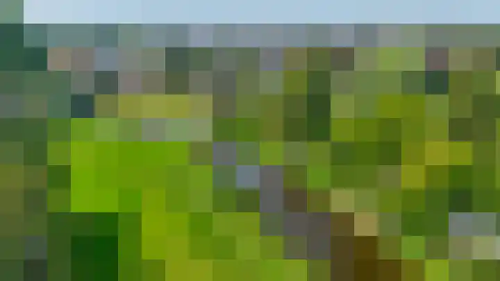 Poelwaai 21 Lisse thumbnail 35
