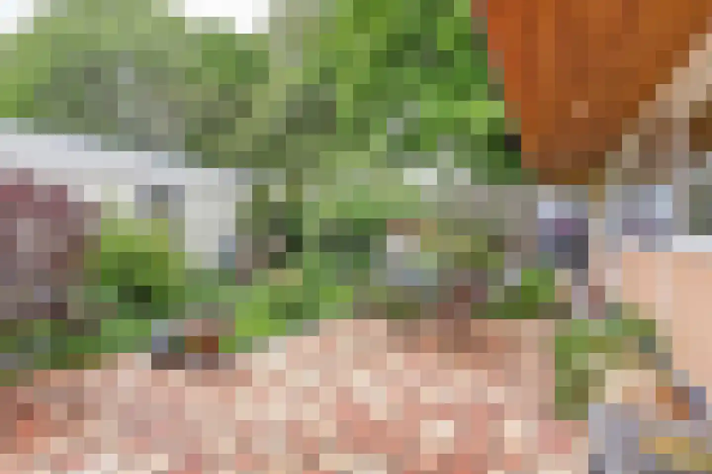 Poelwaai 23 Lisse thumbnail 22