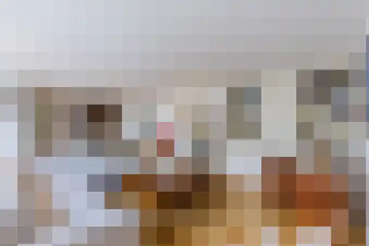 Poelwaai 7 Lisse thumbnail 11