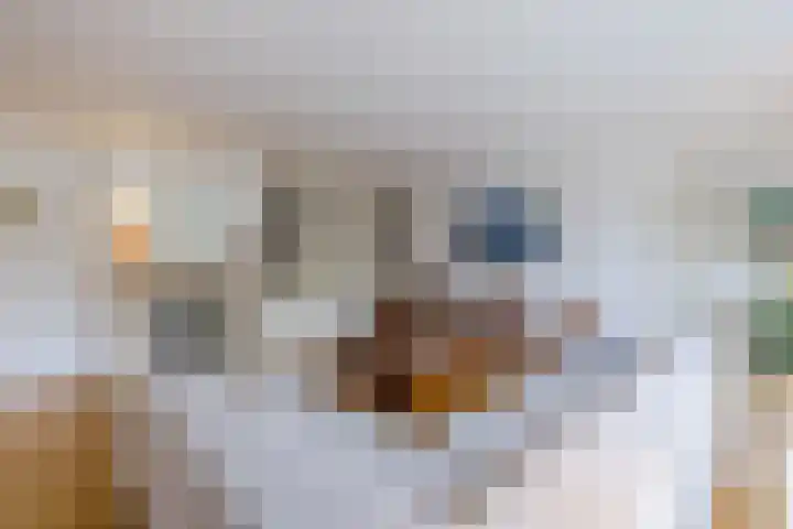 Poelwaai 7 Lisse thumbnail 12