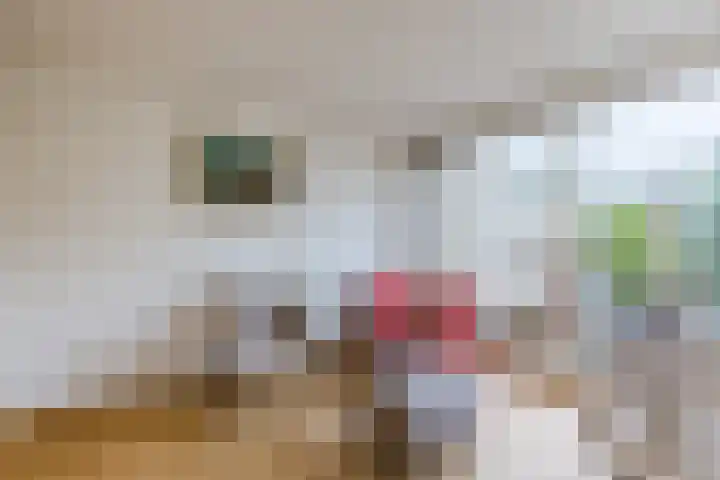 Poelwaai 7 Lisse thumbnail 13