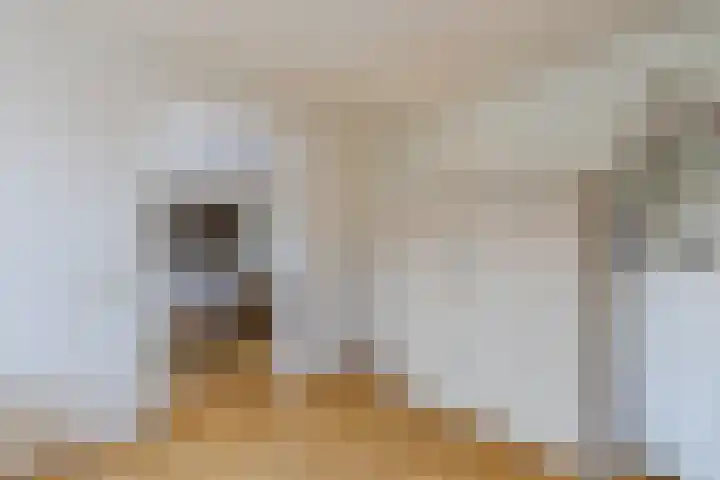 Poelwaai 7 Lisse thumbnail 14