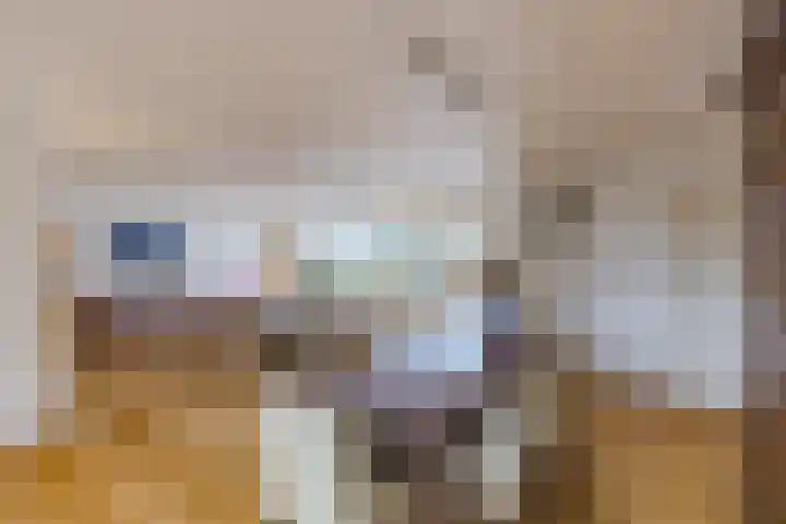 Poelwaai 7 Lisse thumbnail 20