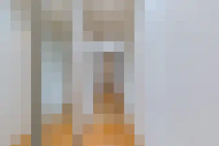 Poelwaai 7 Lisse thumbnail 26