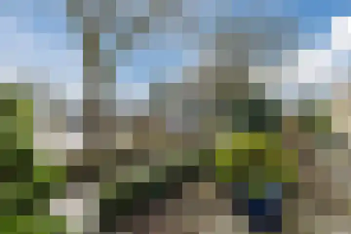Poelwaai 7 Lisse thumbnail 4