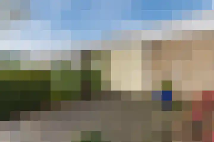 Poelwaai 7 Lisse thumbnail 40