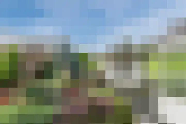 Poelwaai 7 Lisse thumbnail 43