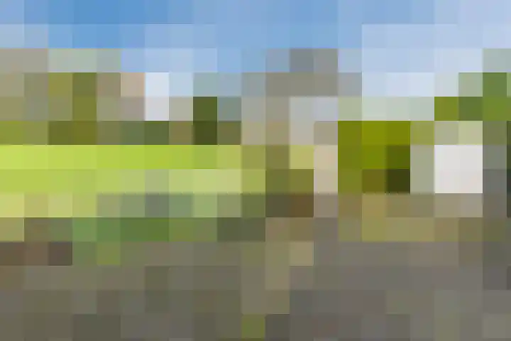 Poelwaai 7 Lisse thumbnail 44