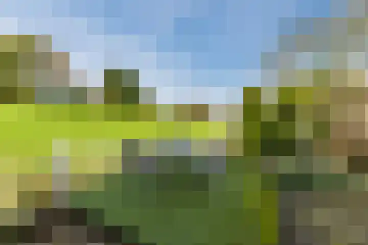 Poelwaai 7 Lisse thumbnail 45