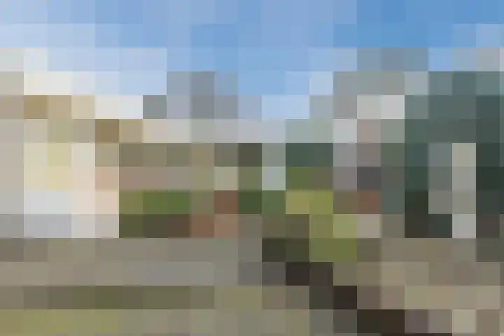 Poelwaai 7 Lisse thumbnail 46