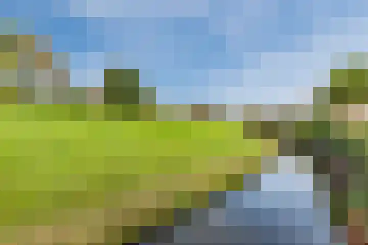 Poelwaai 7 Lisse thumbnail 47