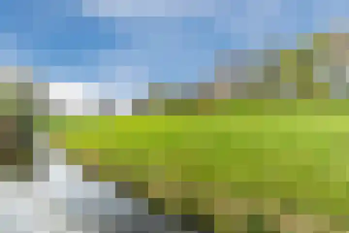 Poelwaai 7 Lisse thumbnail 48