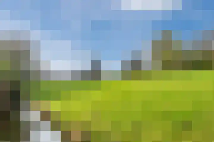 Poelwaai 7 Lisse thumbnail 49