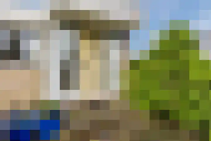 Poelwaai 7 Lisse thumbnail 5