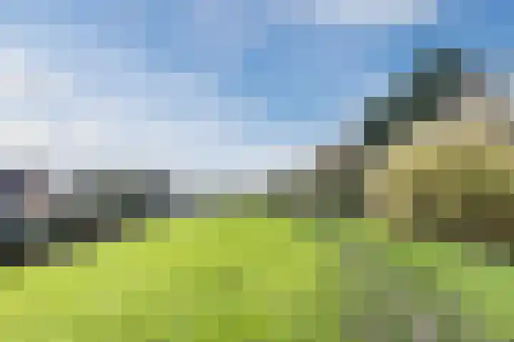 Poelwaai 7 Lisse thumbnail 50