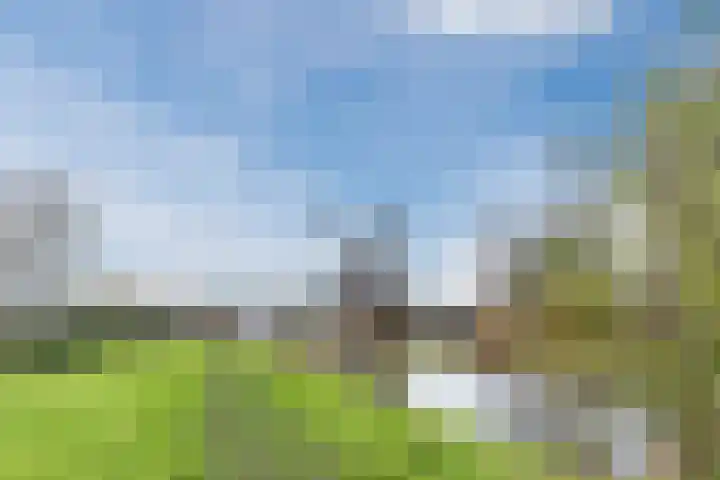 Poelwaai 7 Lisse thumbnail 51