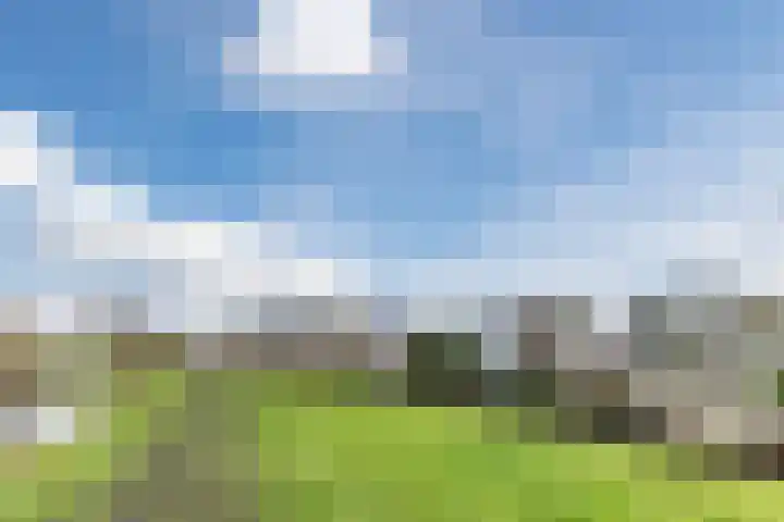 Poelwaai 7 Lisse thumbnail 52