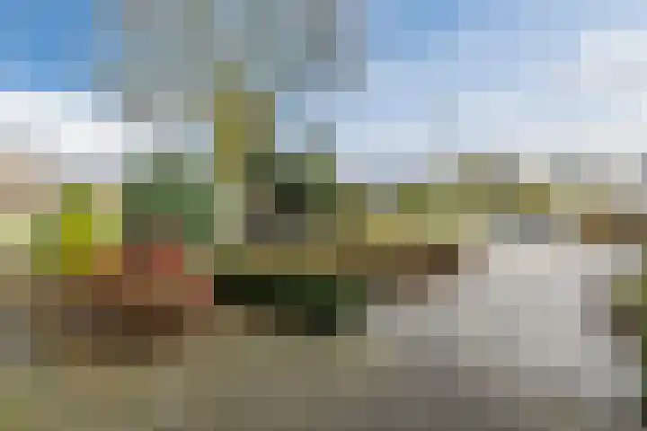 Poelwaai 7 Lisse thumbnail 6
