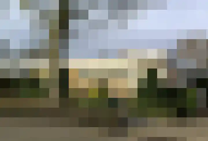 Poelwaai 7 Lisse thumbnail 7