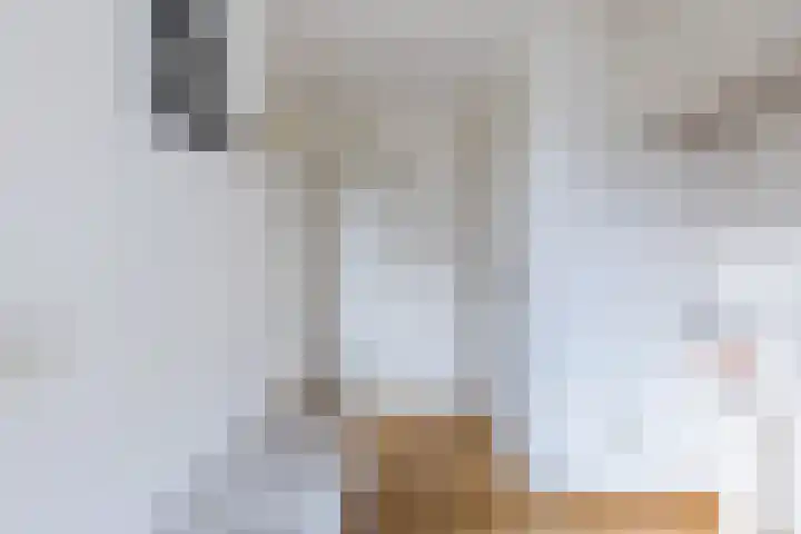 Poelwaai 7 Lisse thumbnail 9