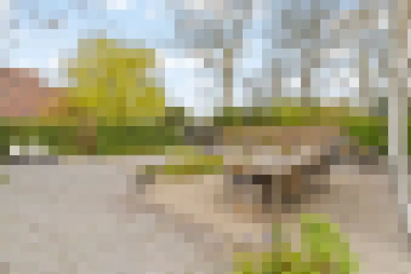 Poelweg 16 Warmond thumbnail 17