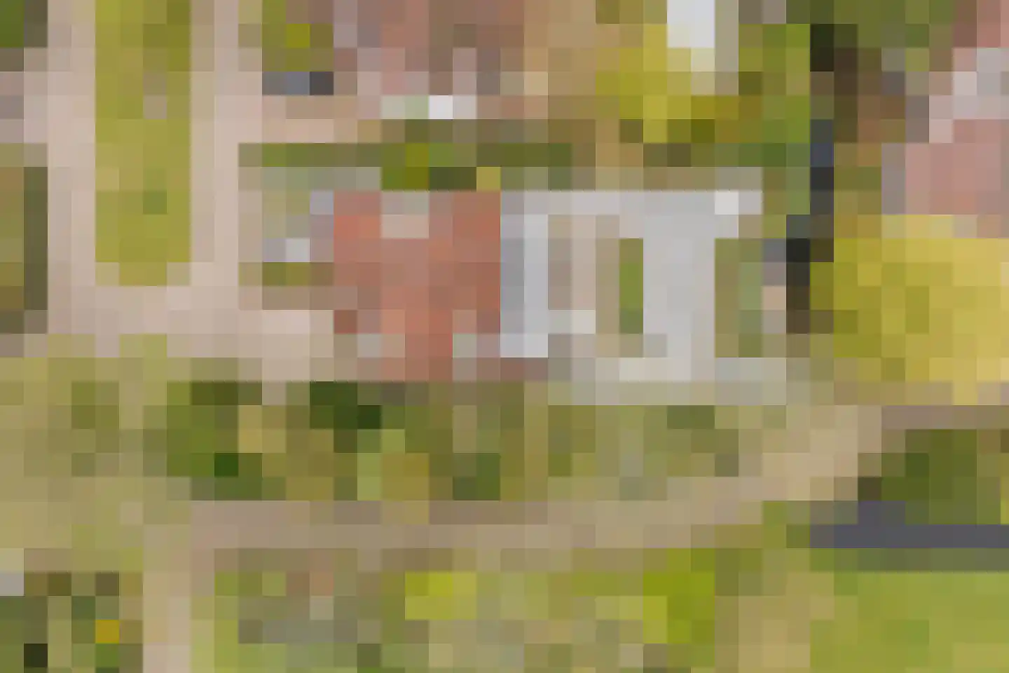 Poelweg 16 Warmond thumbnail 25