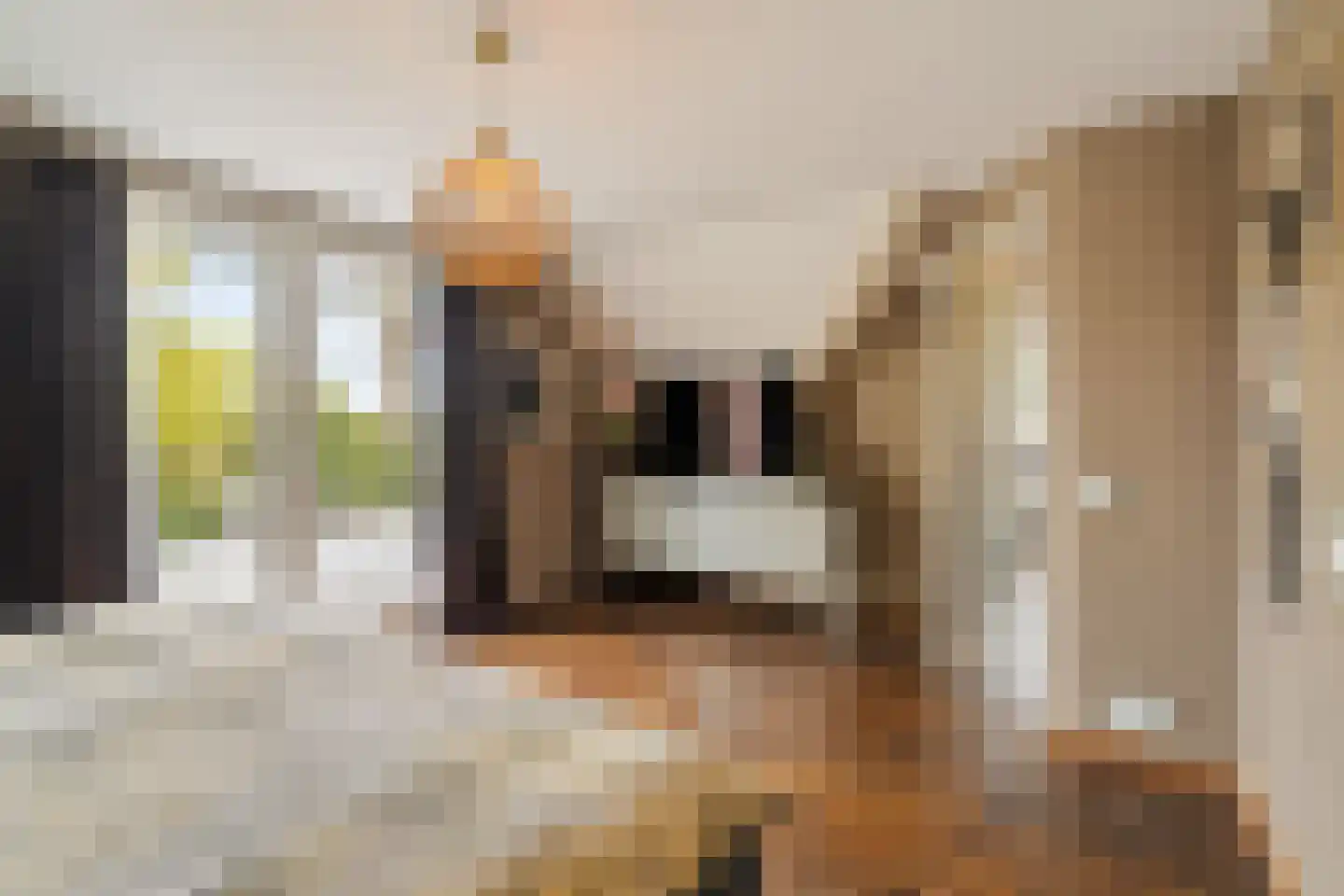 Poelweg 16 Warmond thumbnail 33