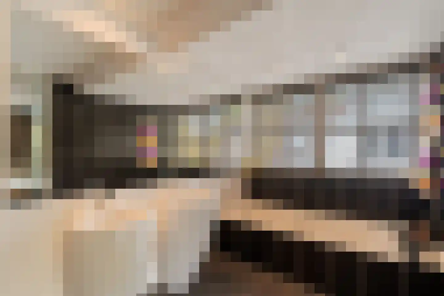 Poelweg 16 Warmond thumbnail 37