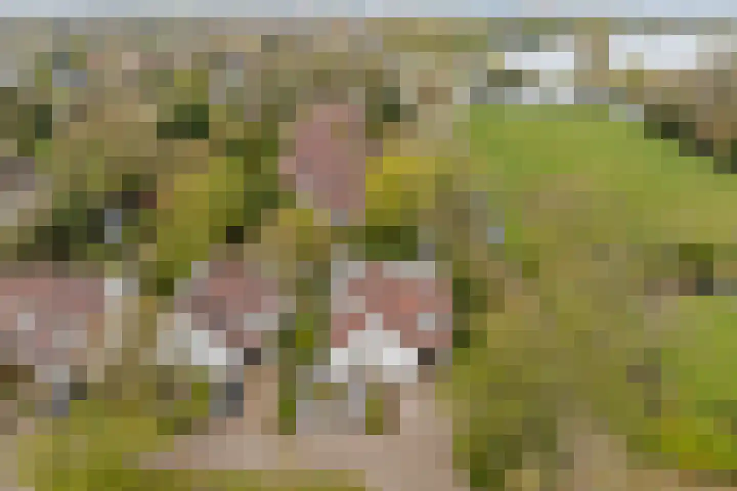 Poelweg 16 Warmond thumbnail 44