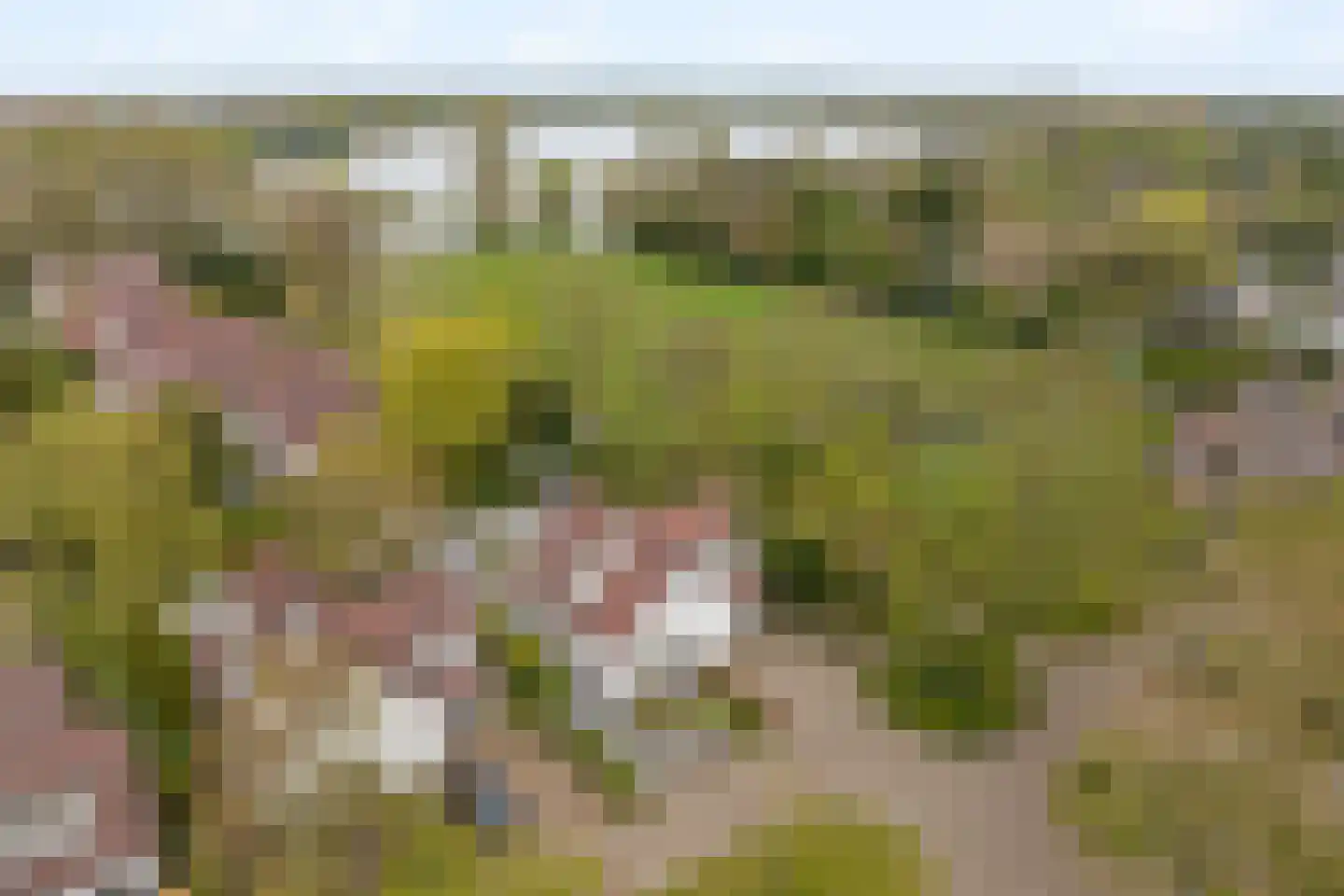 Poelweg 16 Warmond thumbnail 5