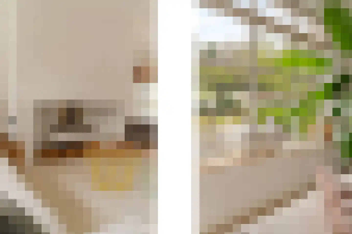 Poelweg 16 Warmond thumbnail 9