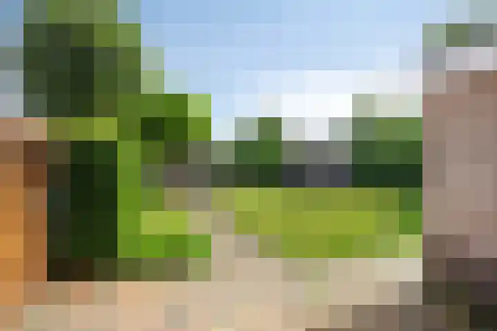 Poelweg 35 Vaassen thumbnail 27