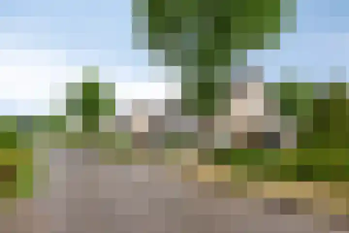 Poelweg 35 Vaassen thumbnail 30