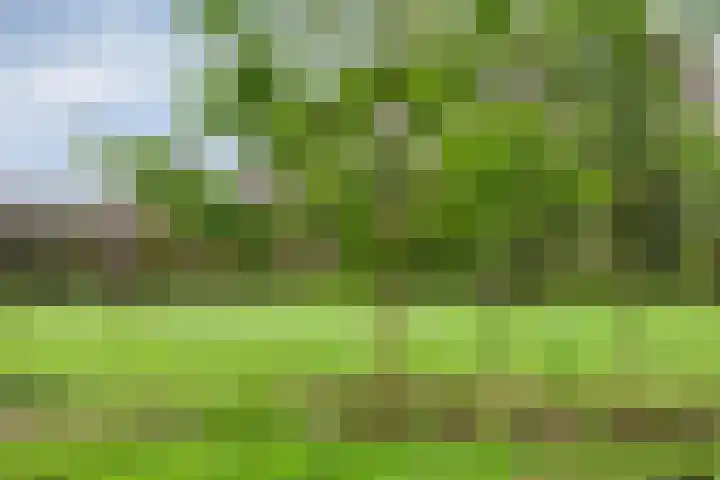 Poelweg 35 Vaassen thumbnail 31