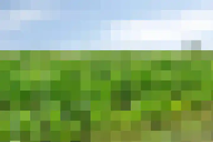 Poelweg 35 Vaassen thumbnail 32