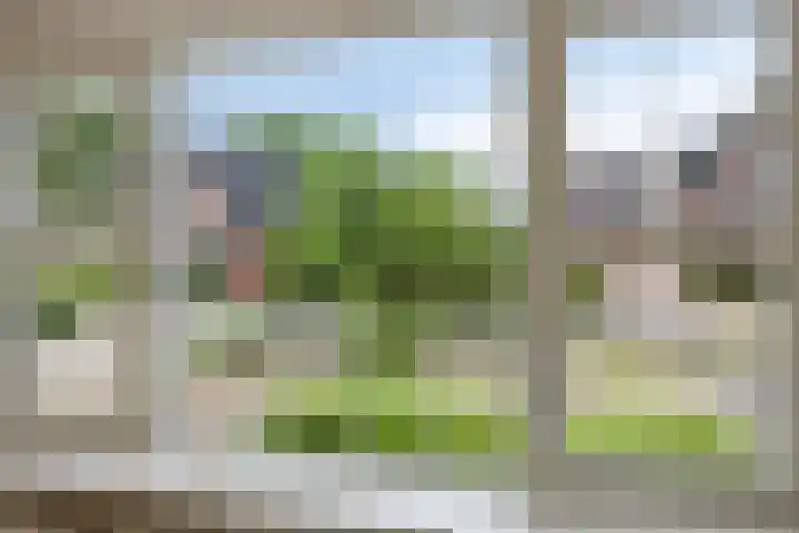 Poelweg 35 Vaassen thumbnail 7