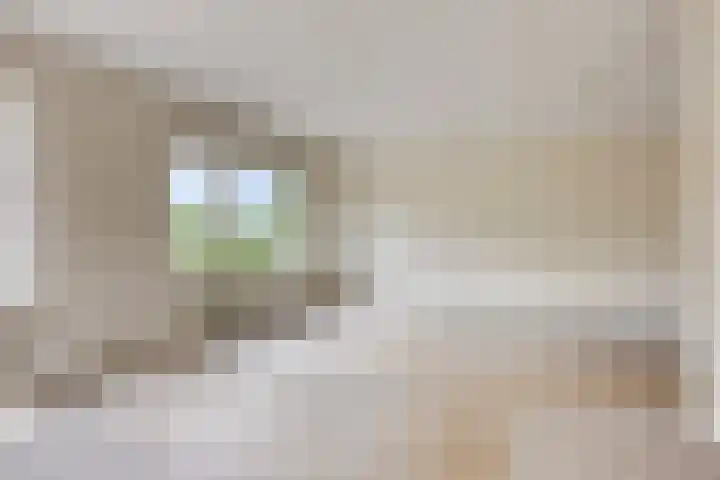 Poelweg 35 Vaassen thumbnail 8
