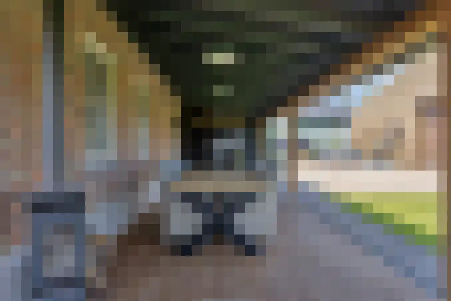 Poelweg 36 Ederveen thumbnail 43